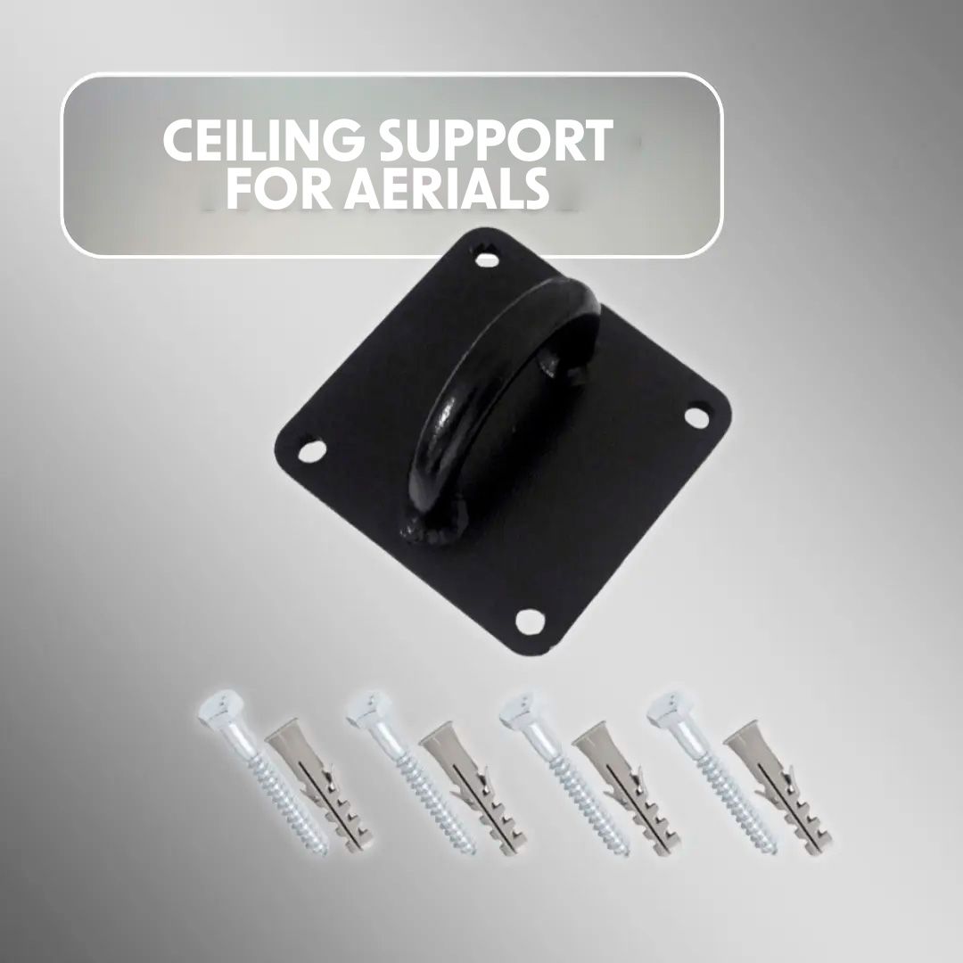 AERIAL CEILING MOUNT